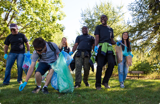 A group participating in a shoreline cleanup