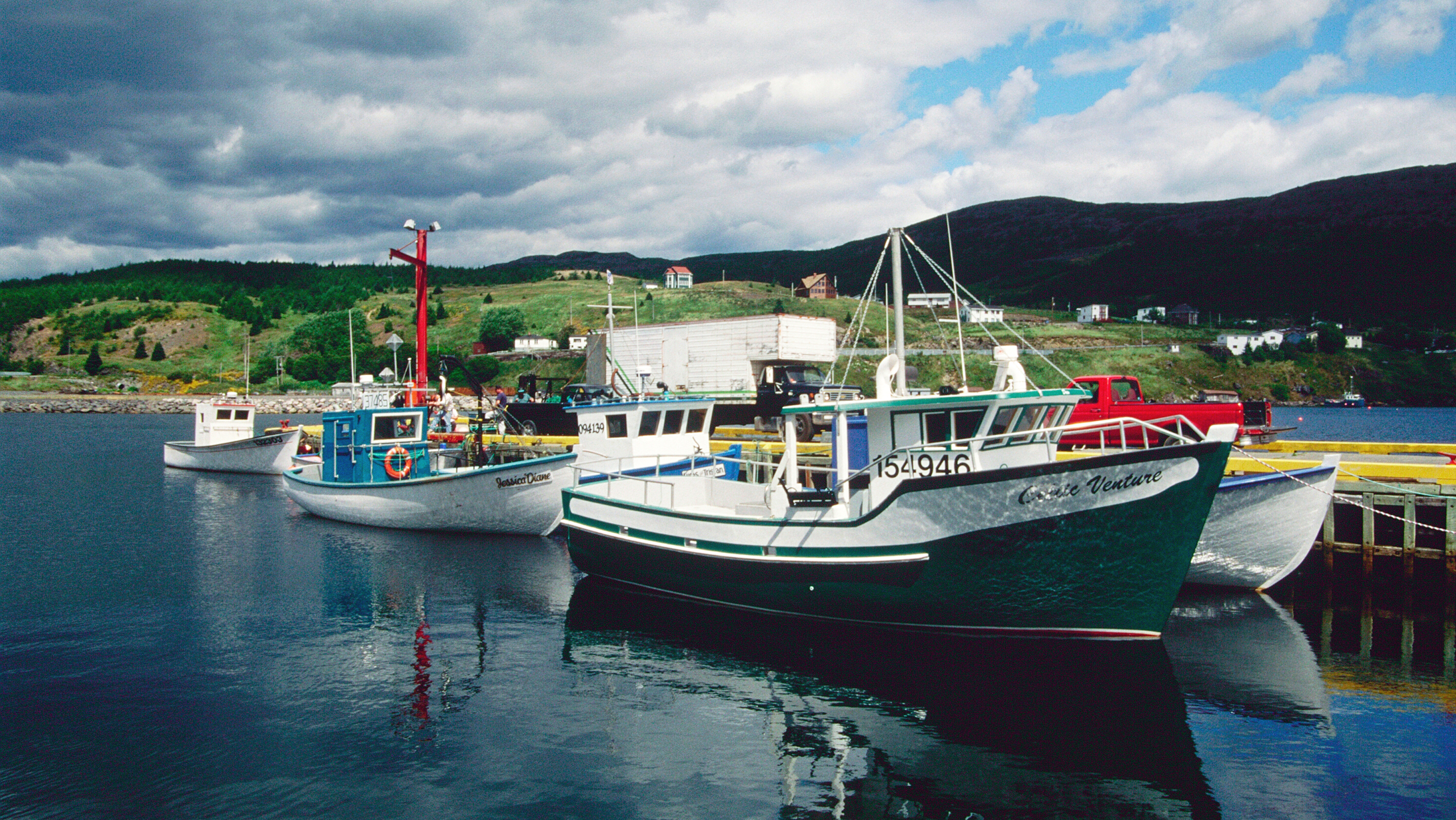 Moored fishing boats in Newfoundland