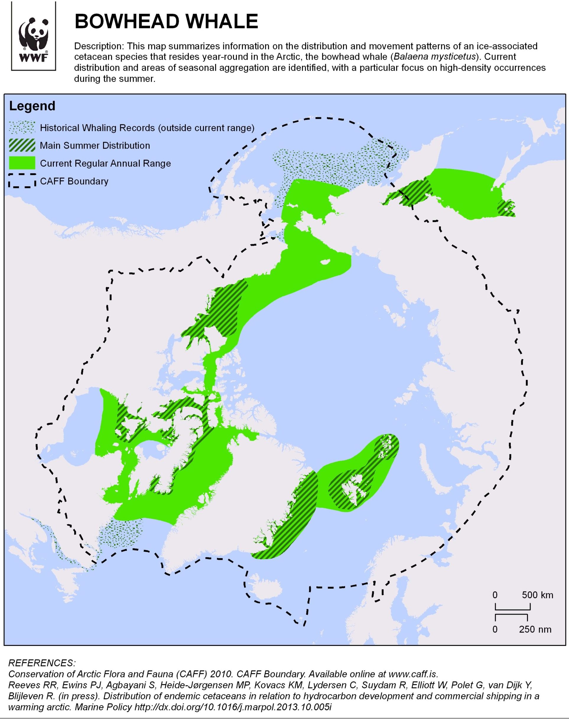 Distribution and movement patterns of bowhead whales in the Arctic