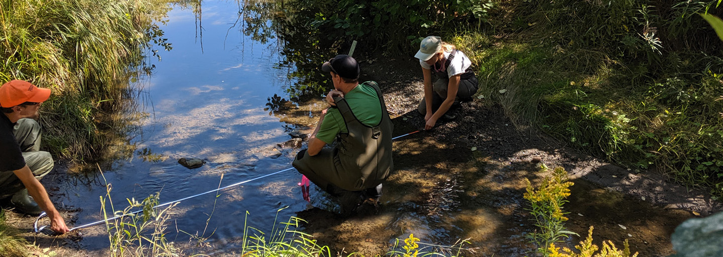WWF and partners monitoring eDNA in stream