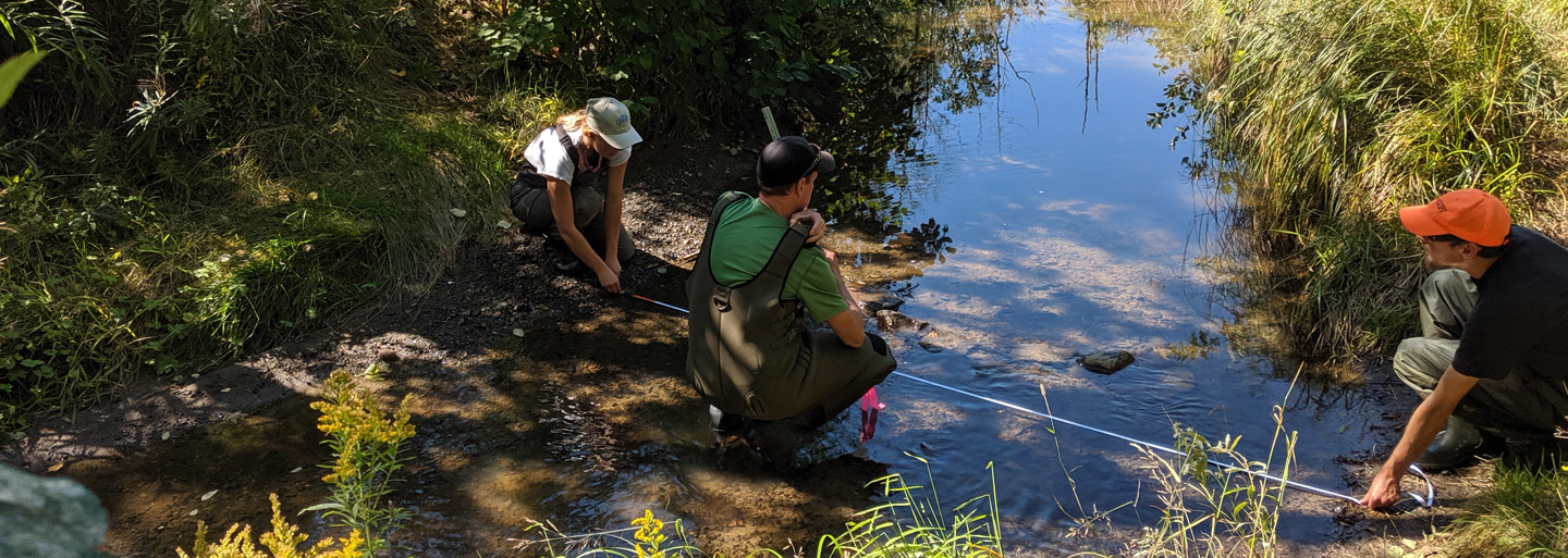 WWF and partners in the field completing eDNA monitoring