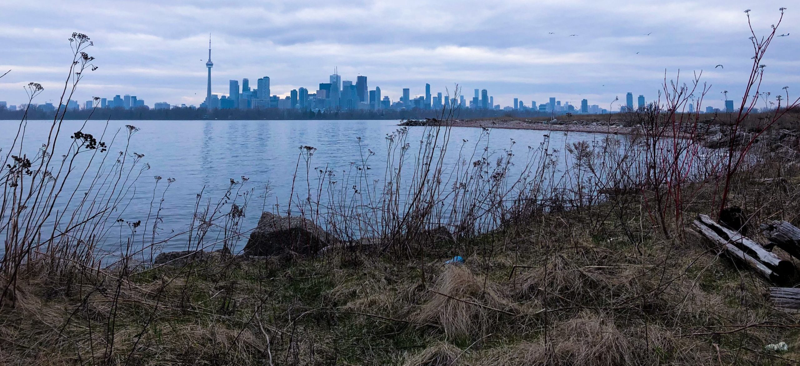 View of Toronto landscape from Lake