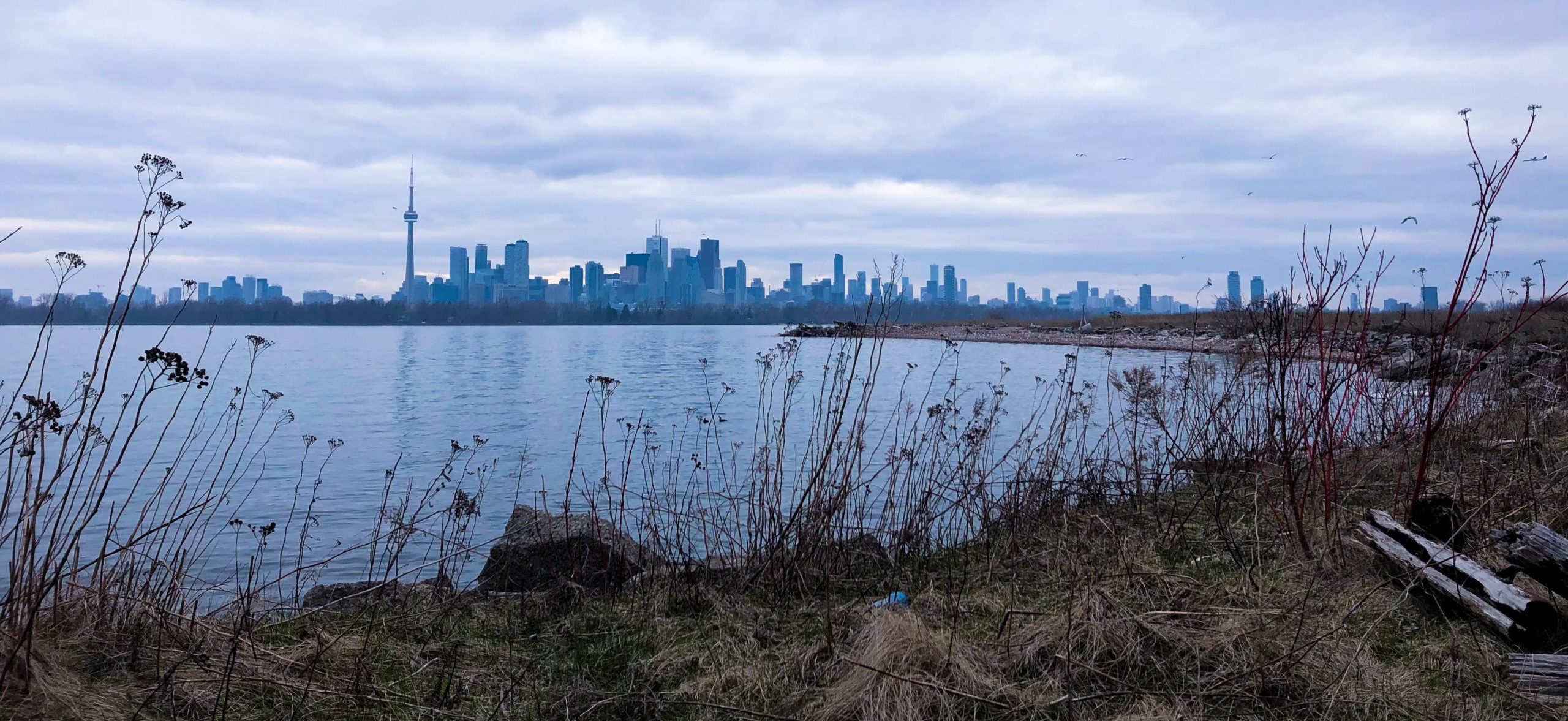 Great Lake with Toronto skyline