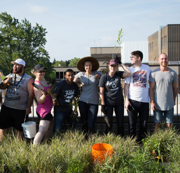 Pollinator Garden Planting