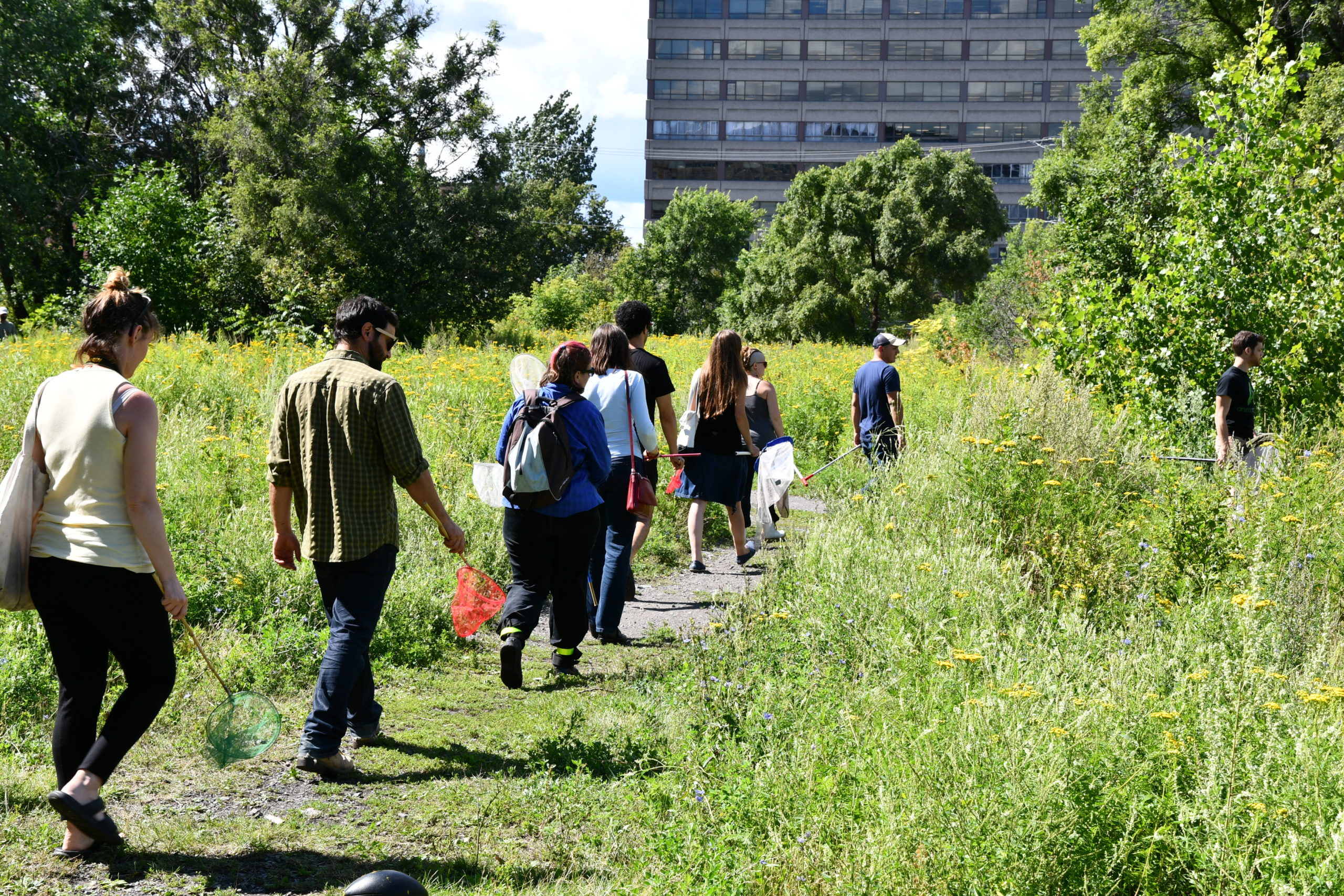 a group of people walking in an urban garden
