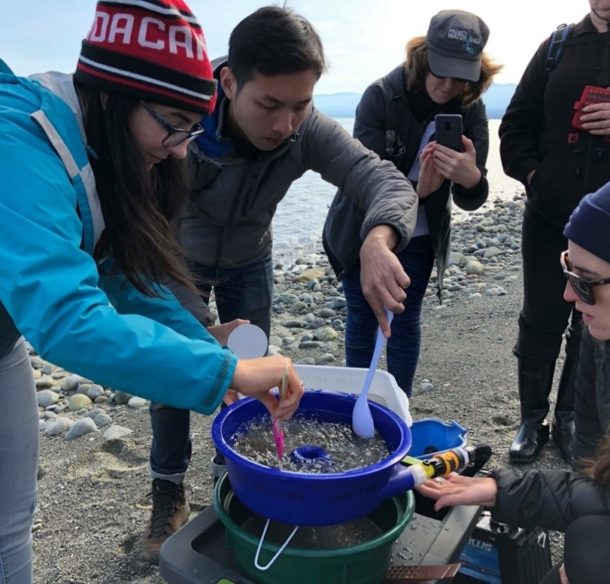 Suivi de l’habitat de fraie des poissons-proies dans la mer des Salish