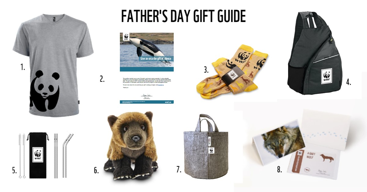 Your Father's Day gift guide is here 