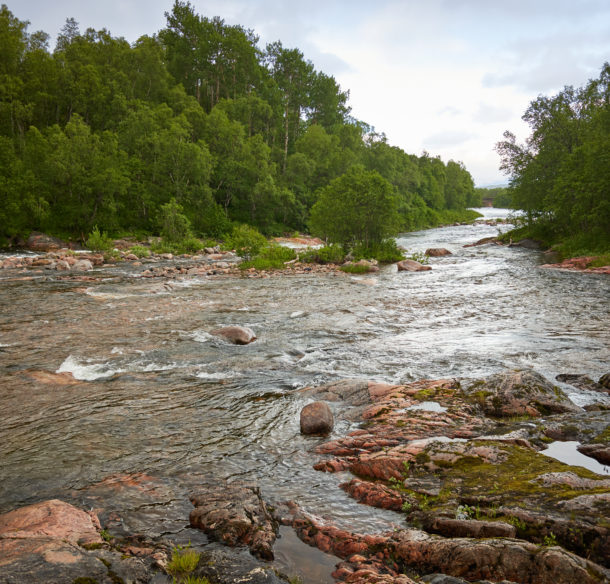 River Landscape In Anderdalen National Park On The Senja Island,