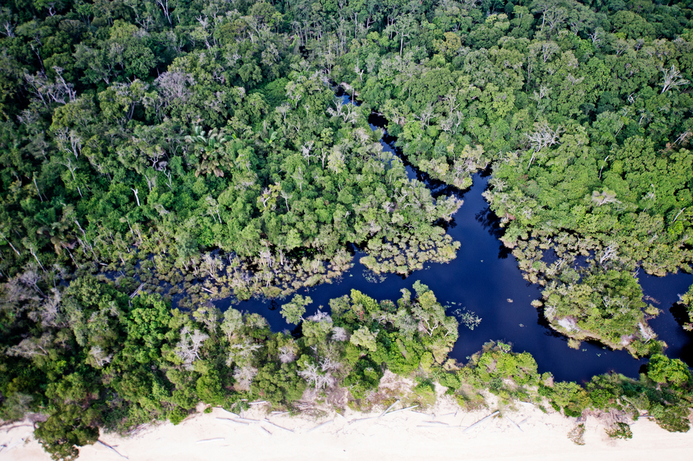 Aerial view of the Atlantic coast forest, Gabon