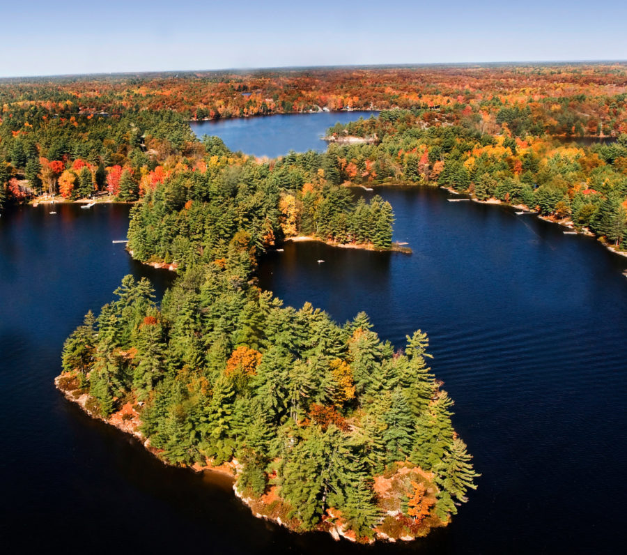 Fall Foliage