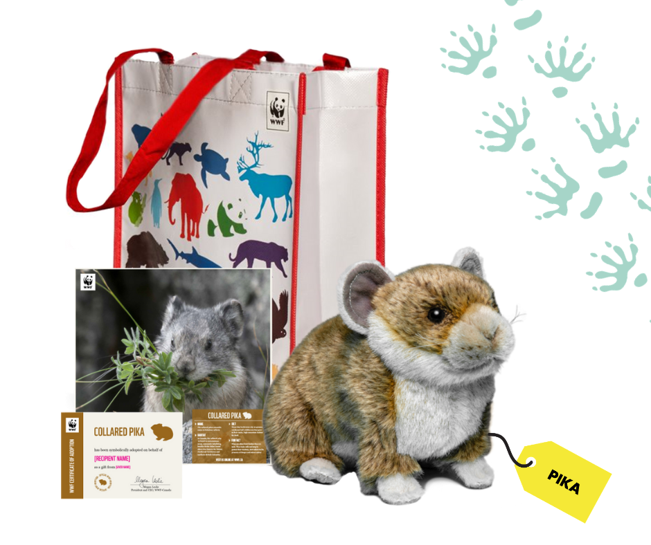 WWF gift: Collared Pika Adoption Kit with plushie and tote bag