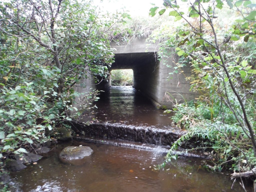 An Upstream view of the stream before the baffle and fish ladder were installed in the culvert