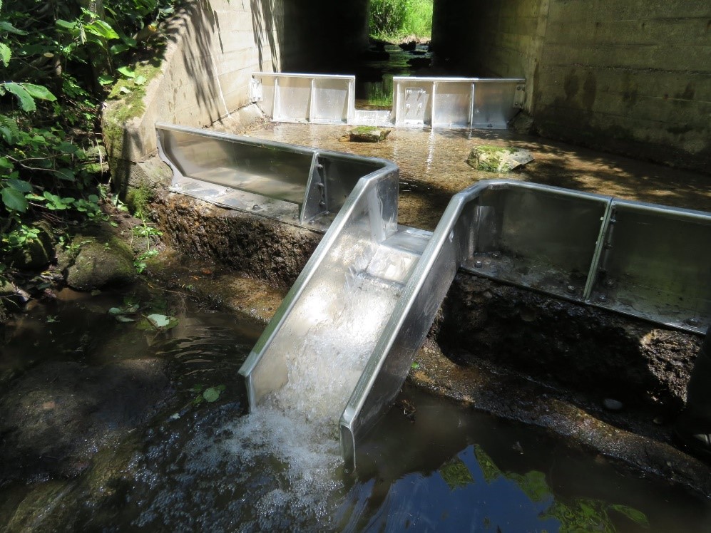 An upstream view of the baffles installed in the culvert