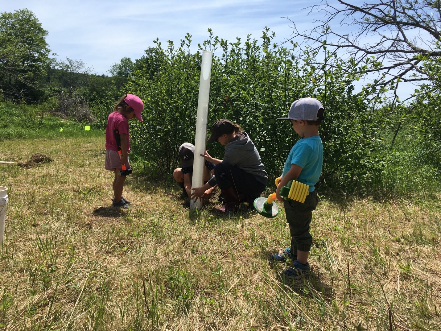 A family helping install a tree tube around a silver maple tree, planted this summer in the Nashwaak watershed. 