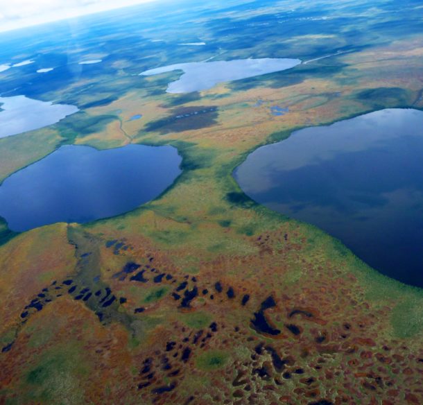 Aerial view of the landscape typical of the Hudson Bay Lowlands, Ontario, Canada