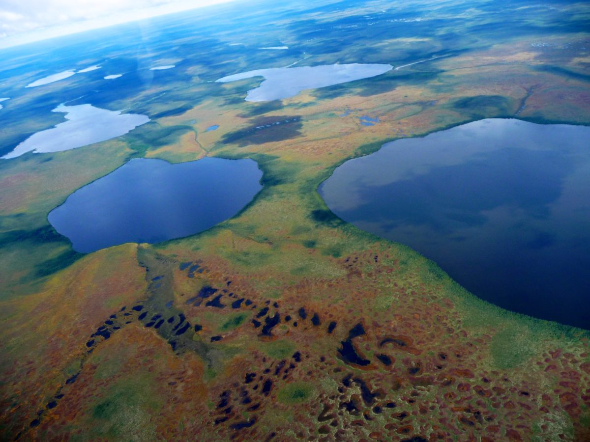 Aerial view of the landscape typical of the Hudson Bay Lowlands, Ontario, Canada