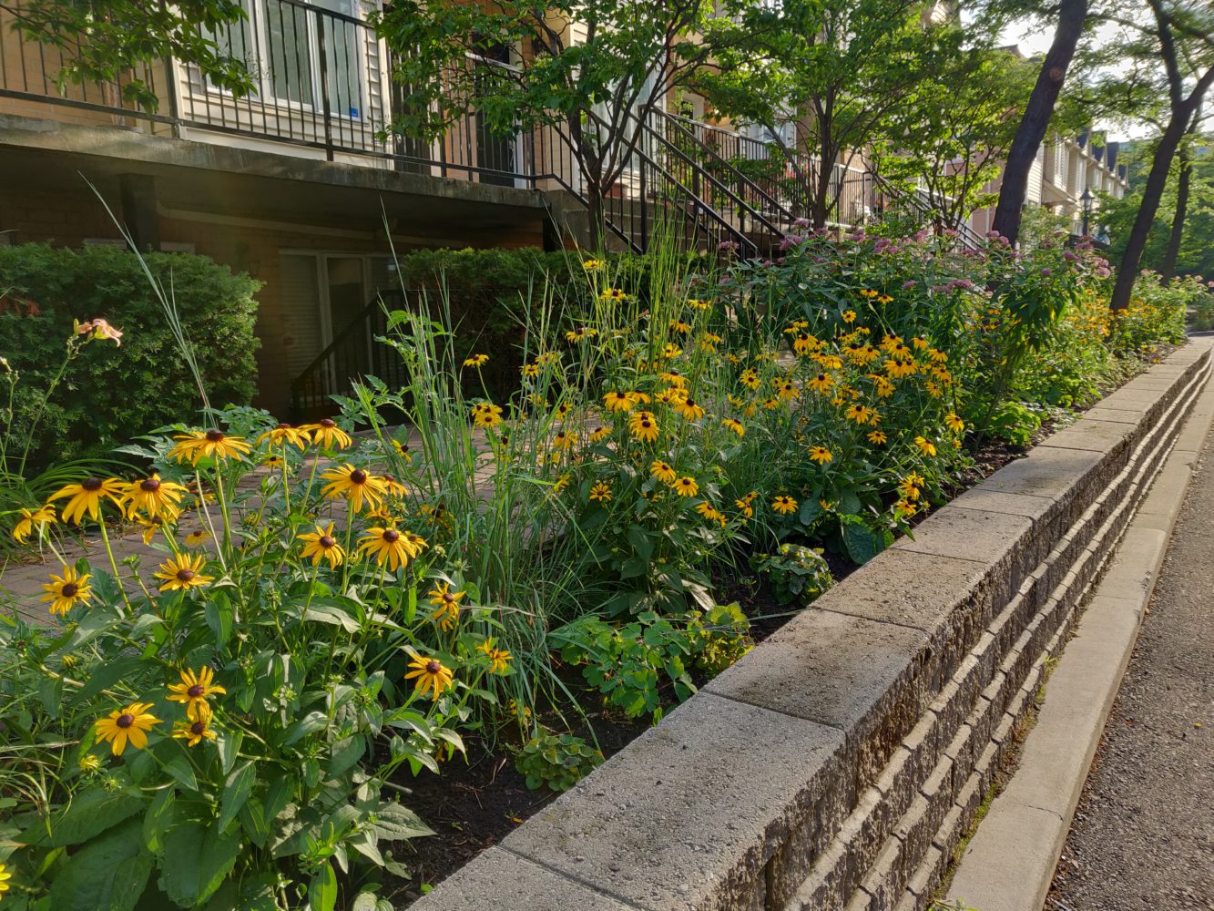 Six easy steps to planting a wildlife-friendly garden - WWF.CA