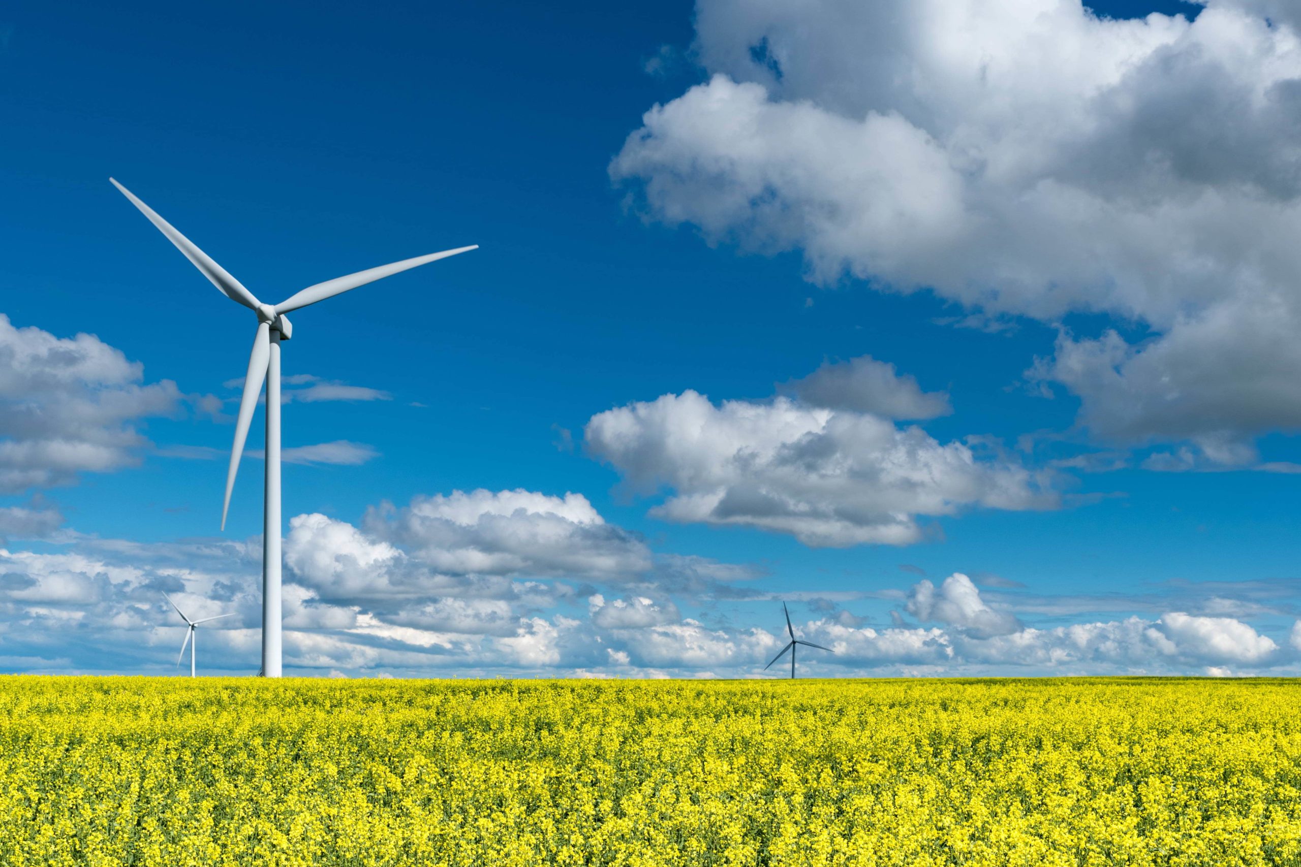 Image of windmill in field.