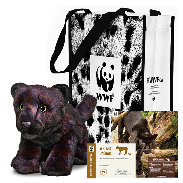 Black jaguar adoption kit, including stuffie, adoption certificate, poster and reusable tote bag.