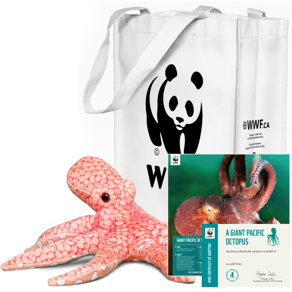 Octopus adoption kit with poster, adoption certificate and reusable tote bag