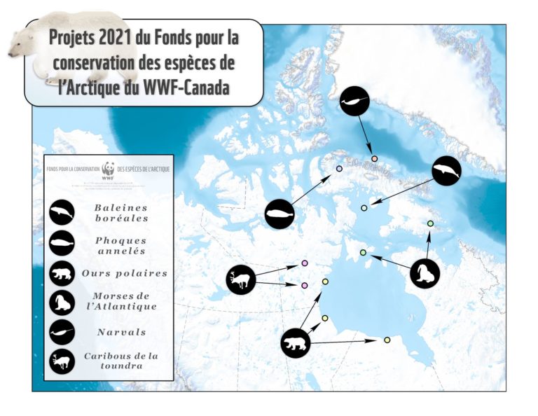 Carte des projets 2021 du Fonds pour la conservation des espèces de l'Arctique © WWF-Canada