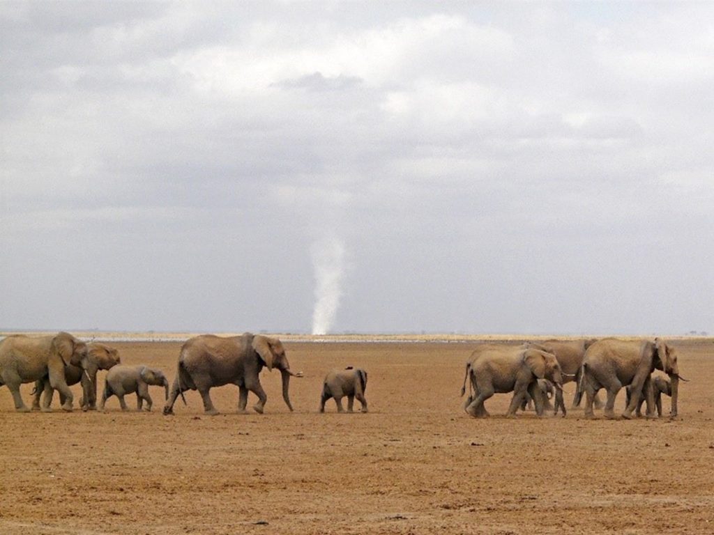 Amboseli, Kenya (2008) © Dave Leeman 