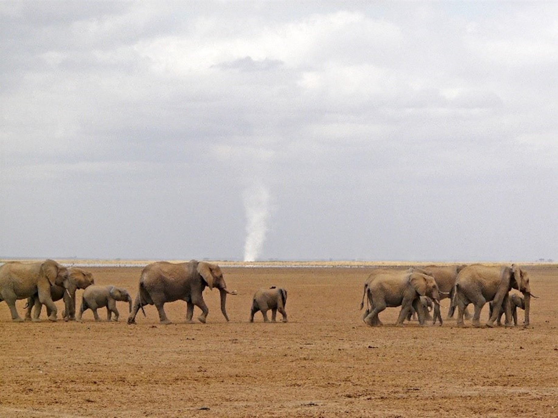 Amboseli, Kenya (2008) © Dave Leeman