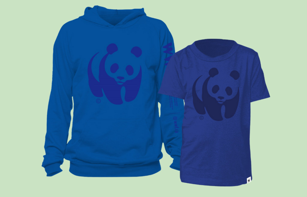 Blue WWF hoodie and blue youth T-shirt