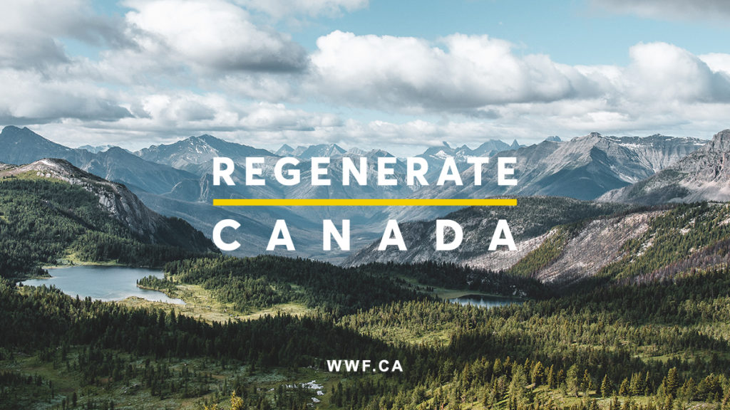 Canadian wilderness image overlaid with the words Regenerate Canada 