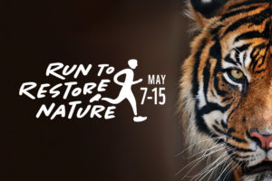 Run to Restore Nature poster with image of a tiger