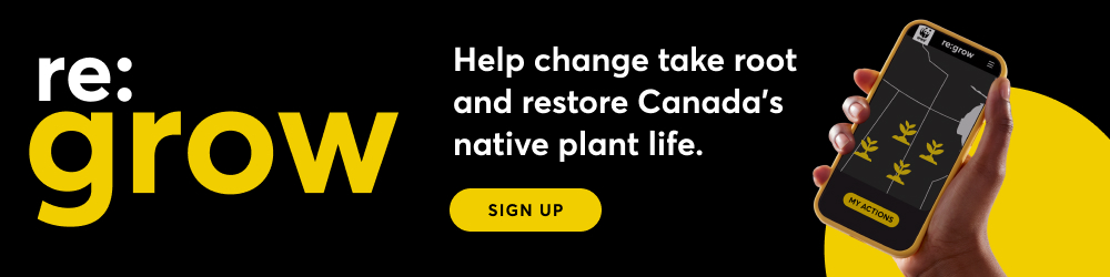 A hand holding up a cell phone showing a map dotted with plant icons beside the words re:grow, help change take root and restore Canada's native plant life and a sign-up button.