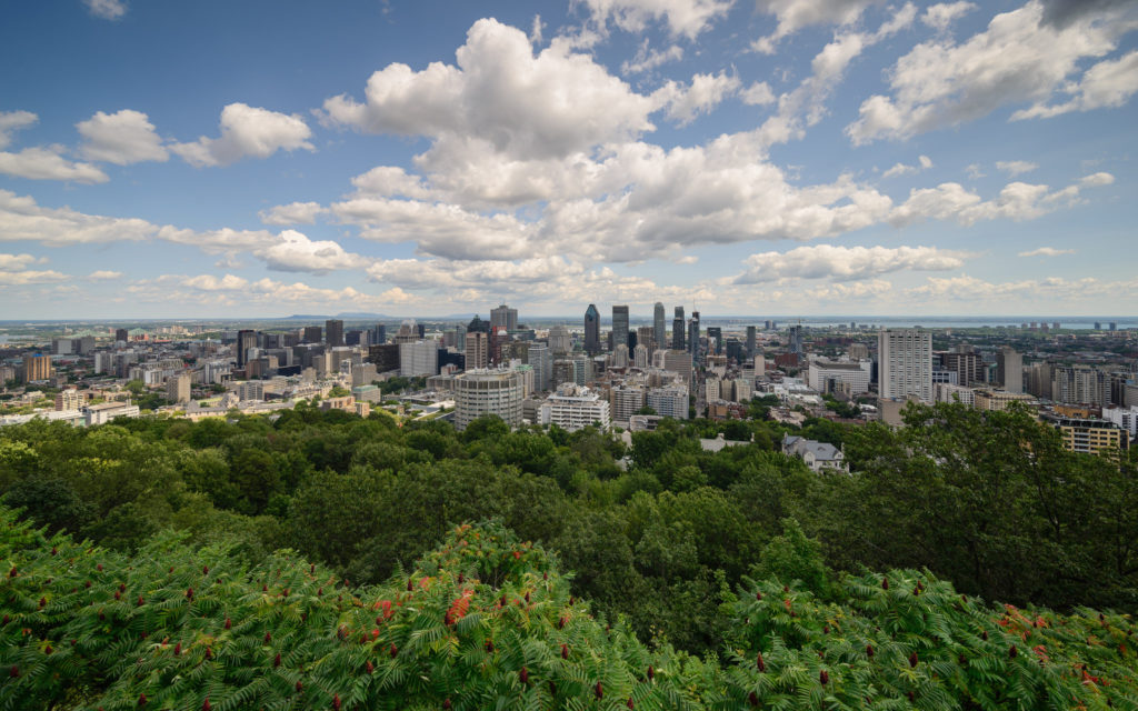 Downtown Montreal, Quebec, as seen from the top of Mount Royal
