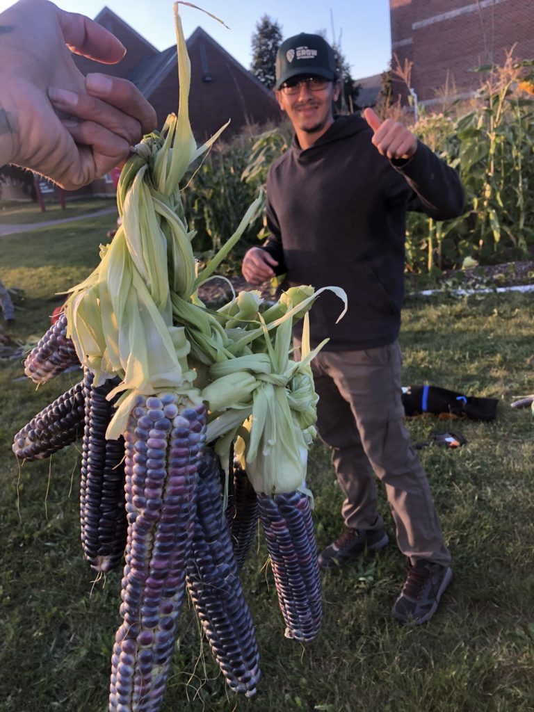 Man standing with blue corn in the foreground