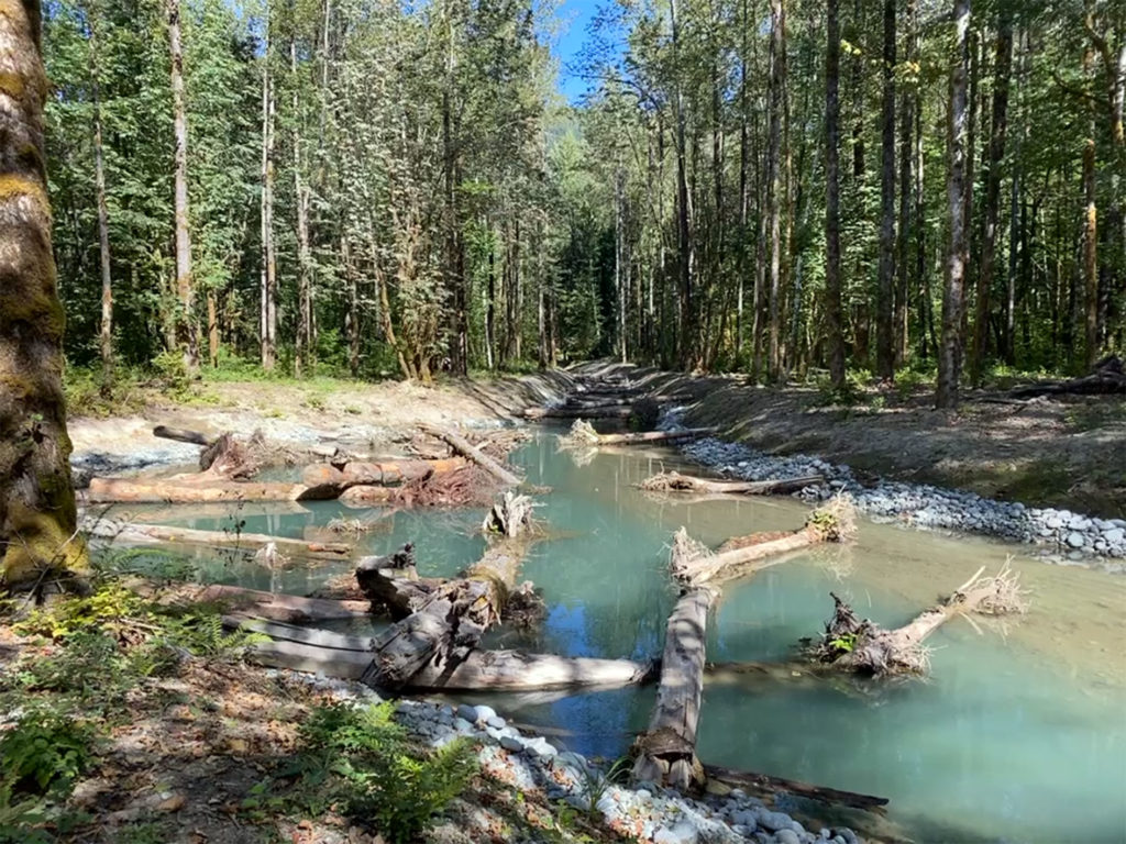 A new, turquoise waterway in a forest that was created to expand salmon spawning habitat