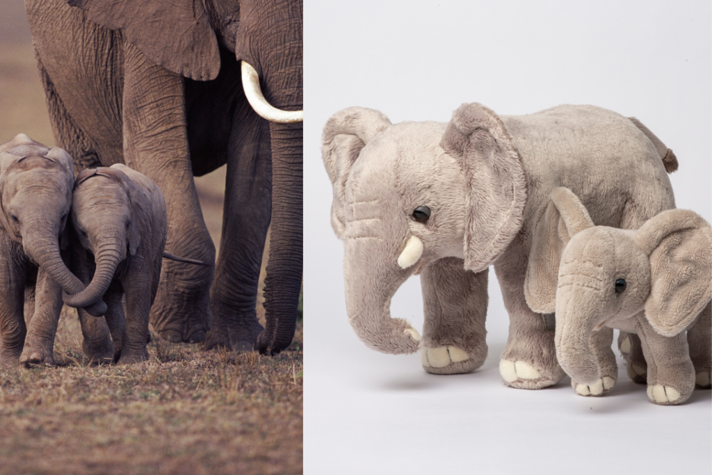 Two baby African elephants with trunks entwined next to a photo of WWF's mom and baby elephant stuffie