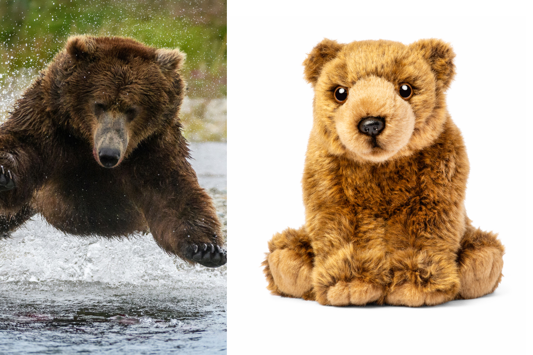A grizzly bear splashing in the water next to a photo of WWF's grizzly bear stuffie