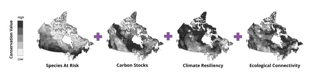 Four maps of Canada indicating regional conservation values based on species at risk, carbon climate resilience and ecological connectivity 