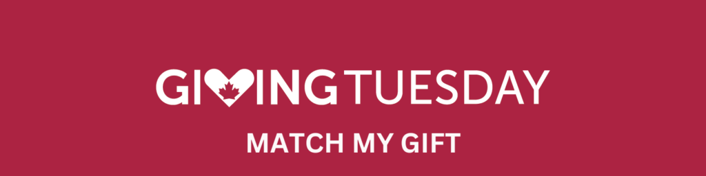 Giving Tuesday match my gift button