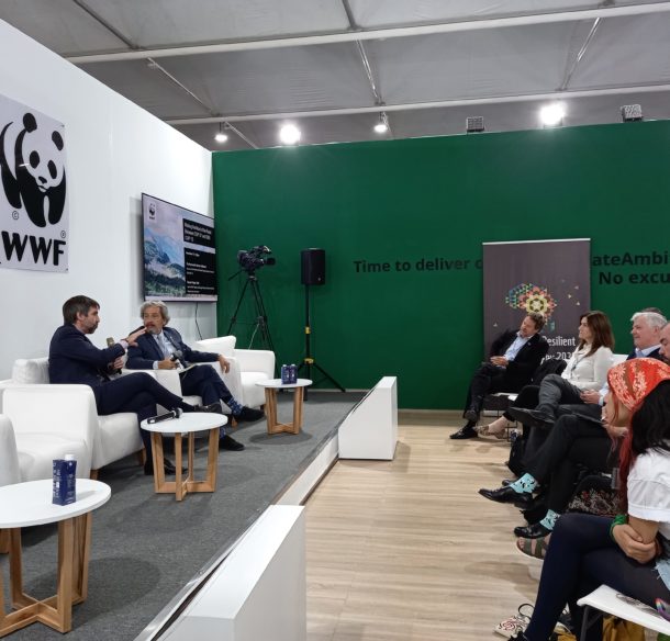 A crowd watching two men having a discussion onstage in front of a WWF panda logo