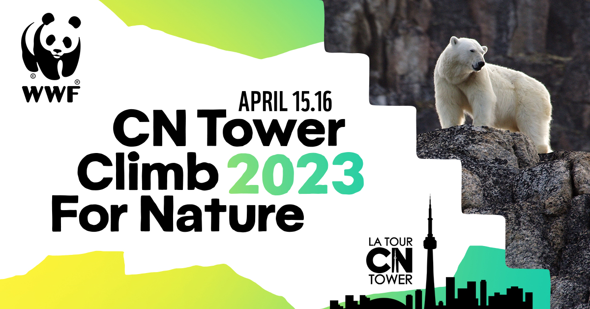 WWF’s CN Tower Climb for Nature is back after a threeyear hiatus WWF.CA