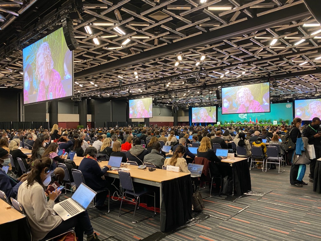 Hundreds of delegates at the main plenary session at COP15