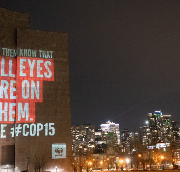 A projection on the side of the Palais de Justice building that reads: “Let them know that all eyes are on them”