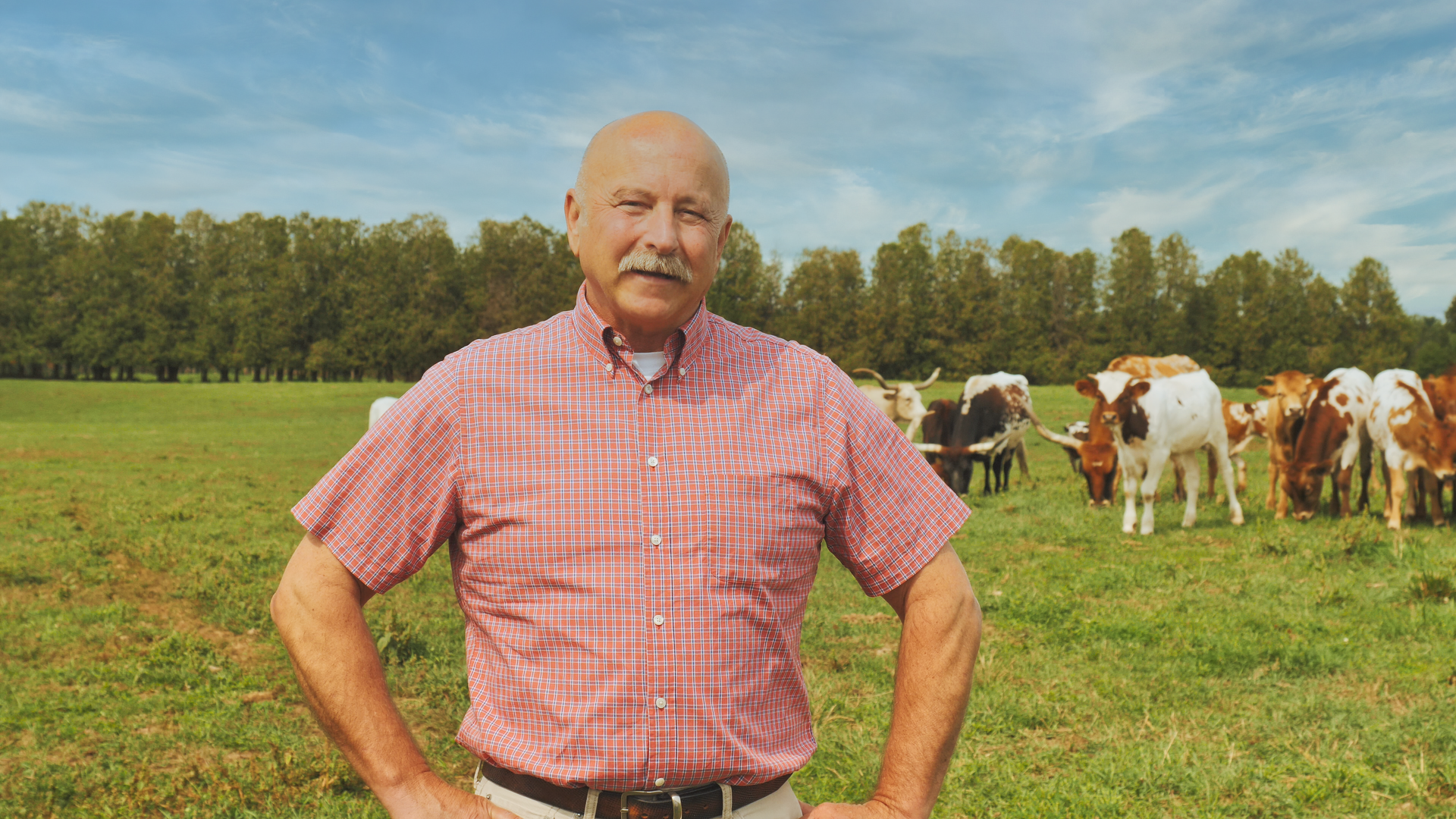 Male farmer stands smiling on a sunny day in a field with cows behind him and a tree line in the distance.