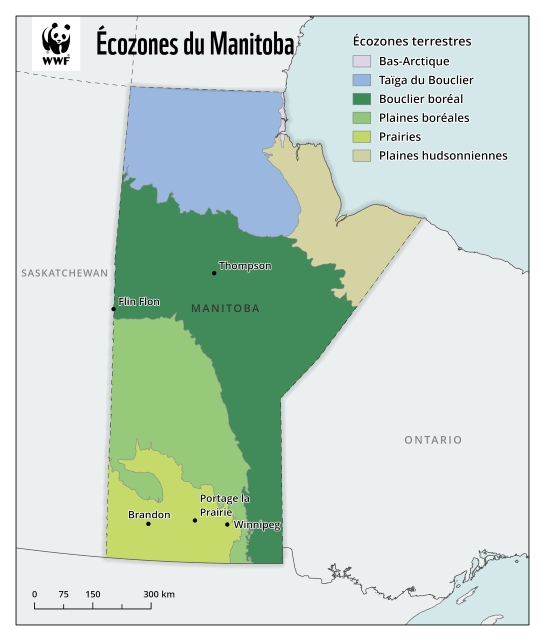 Une carte montrant les six écozones du Manitoba