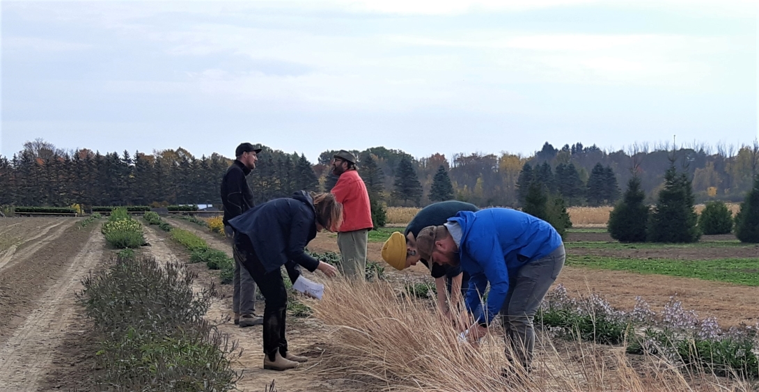 A group of five people harvesting seeds from plants in a seed garden with a field and trees in the background.