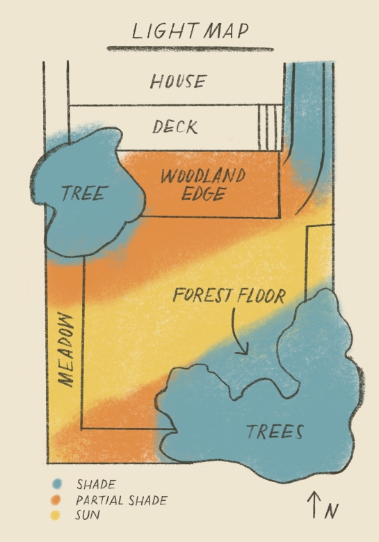 An example of a light map: A map of a yard showing the locations of trees, house, and deck and with colours overlaid to indicate whether each part of the yard is exposed to sun, partial shade or shade.