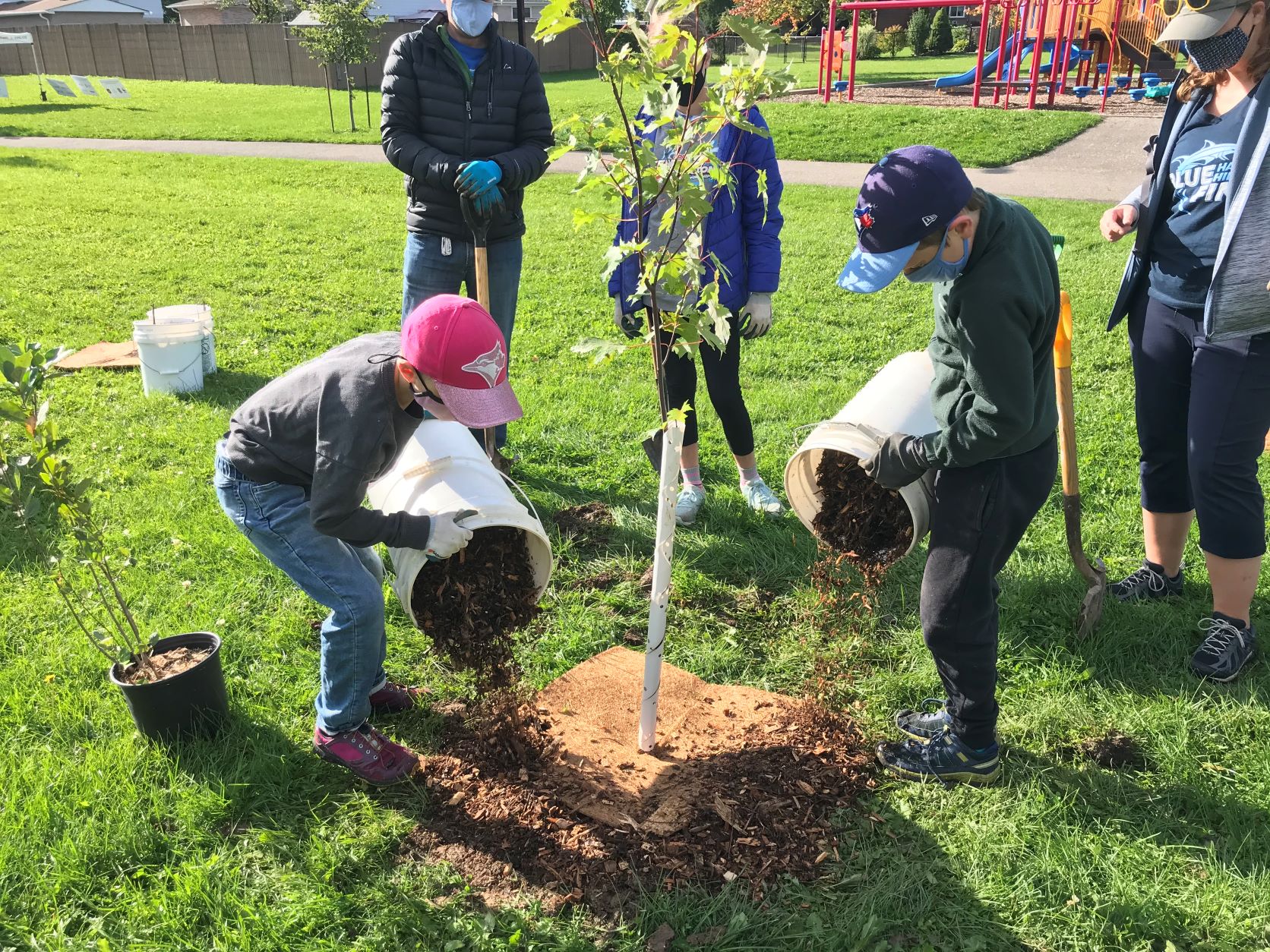 Kids planting a tree near a playground