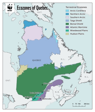 Map showing the eight ecozones in the province of Quebec: Arctic cordillera, northern Arctic, southern Arctic, taiga shield, boreal shield, Atlantic maritime, mixedwood plains and Hudson plains.