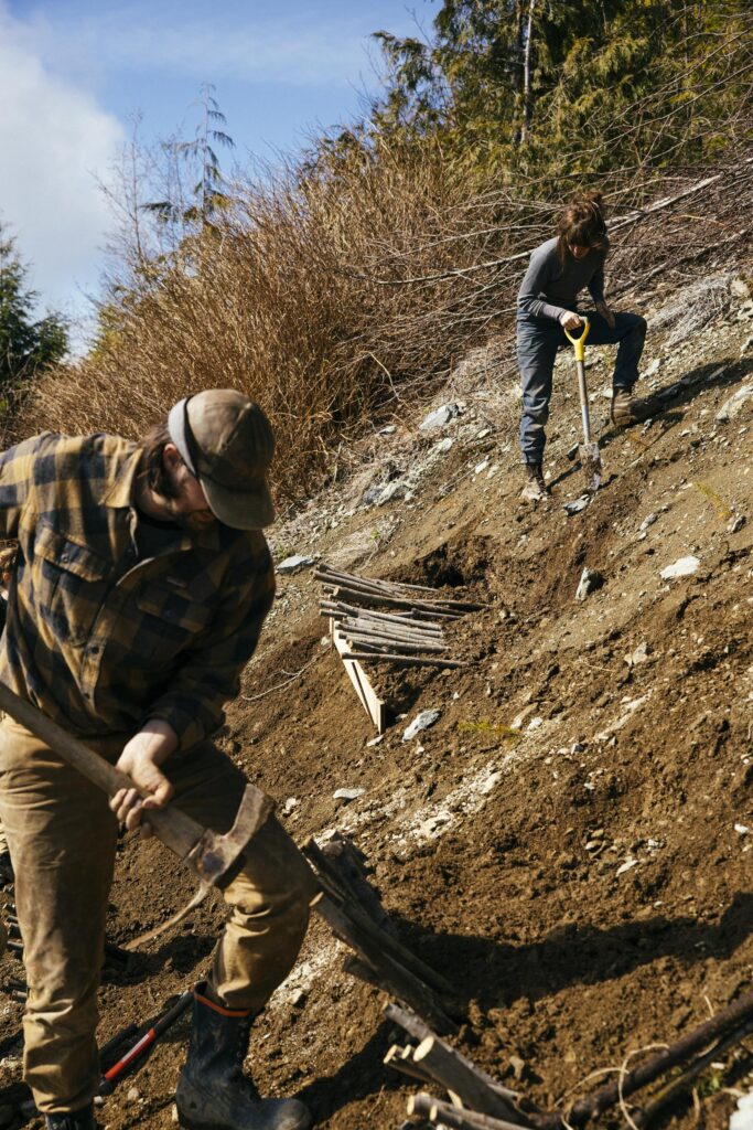 Two people planting plants on a steep slope in BC.