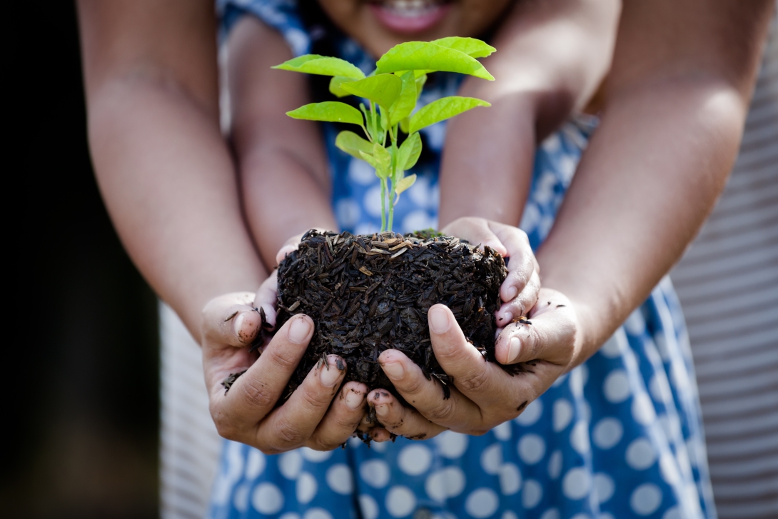 Planting / Shutterstock